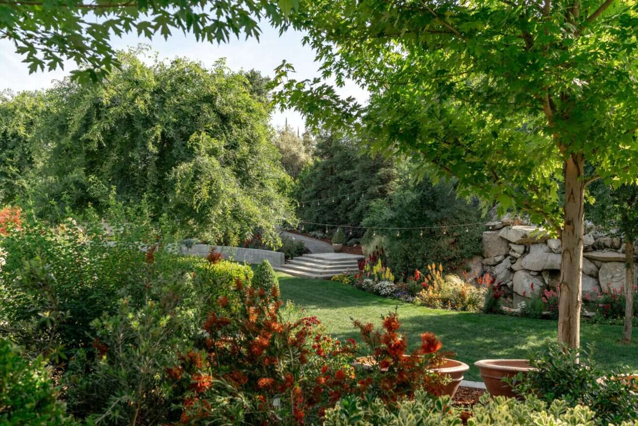 Scenic garden with pathway and greenery